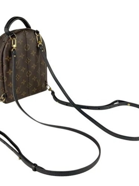 Auth LOUIS VUITTON Monogram Palm Springs MINI Backpack Brown M44873 - z9295 main image 8